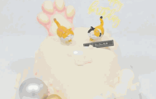 贵妃猫蛋糕条件都有哪些?掌握这些要求就能成为门店经营者