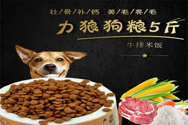 力狼狗粮