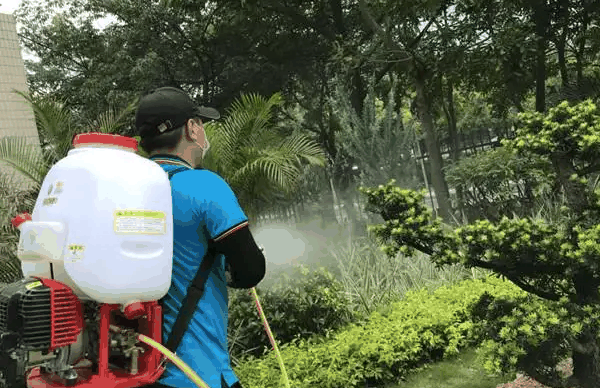 爱卫有害生物防治
