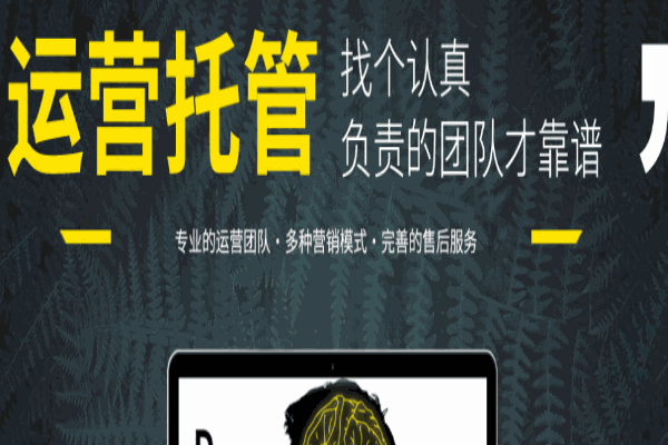 灵猫电商