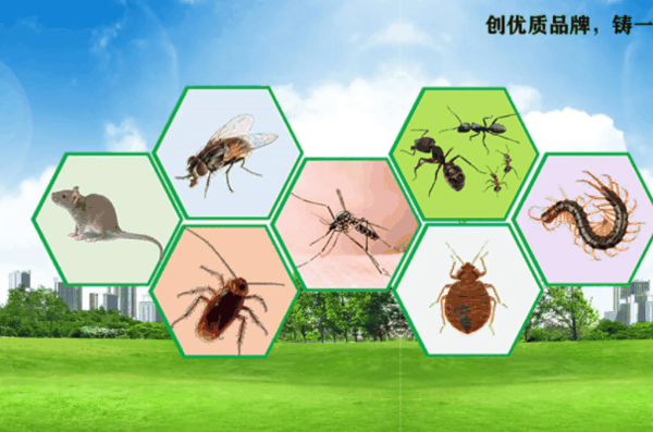 爱卫有害生物防治