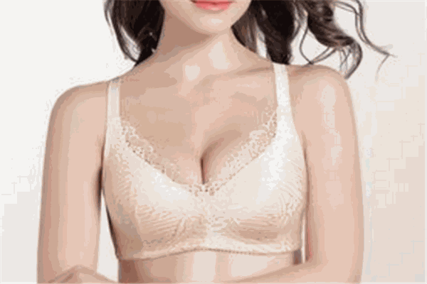 雪伦义乳内衣加盟