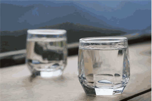 龙聚白酒