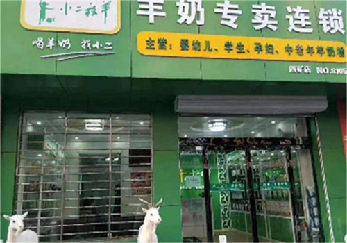 小二放羊羊奶粉