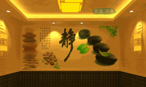 开一家纳米汗蒸馆需要多少钱?