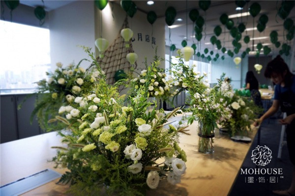 墨饰居植物手工DIY