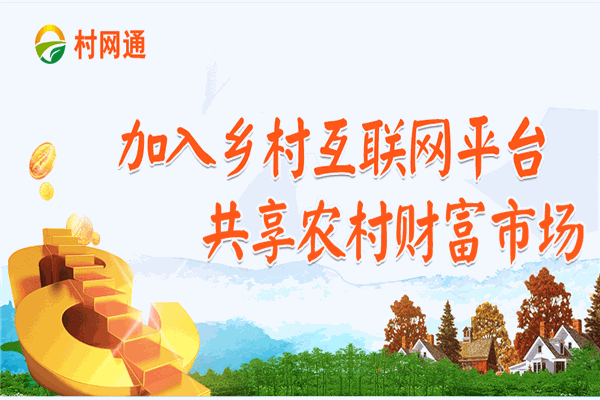 村网通