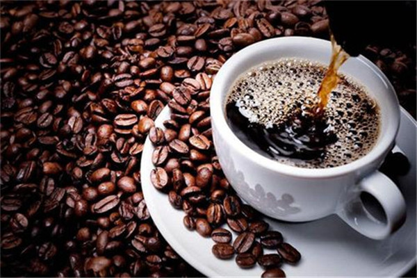 魔杯咖啡moocupcoffee