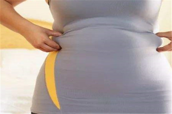 姿赢美减肥加盟