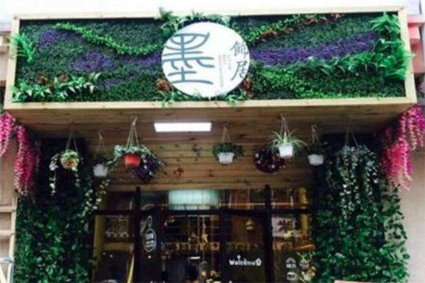 墨饰居植物手工DIY