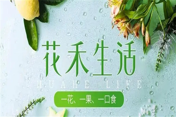 花禾生活加盟