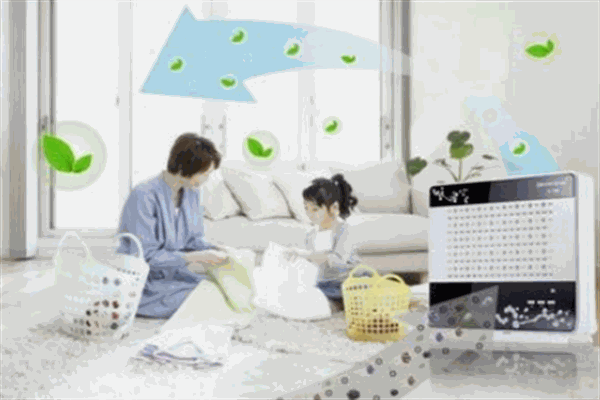 绿色传奇空气净化