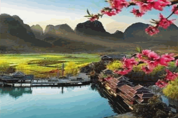 绿色传奇空气净化