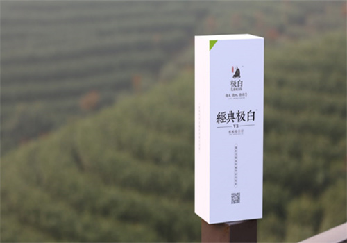 极白白茶