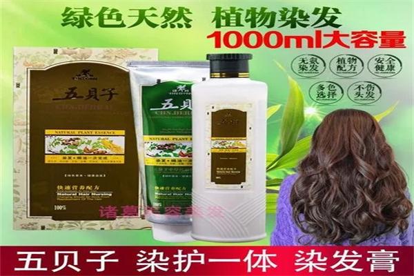 五倍子植物染发