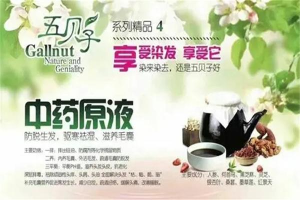 五倍子植物染发