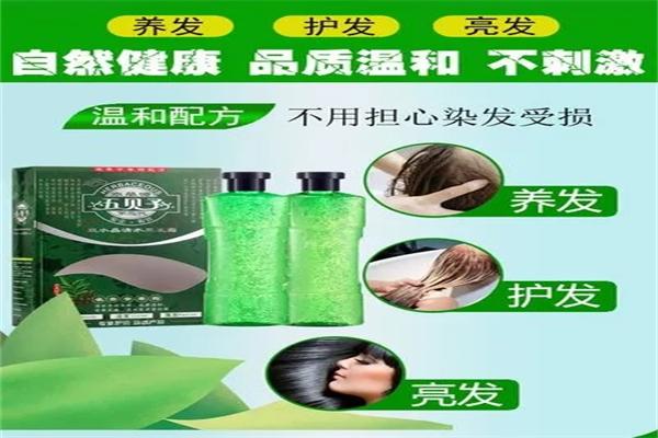 五倍子植物染发