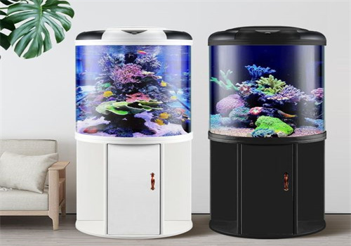 杨子水族馆