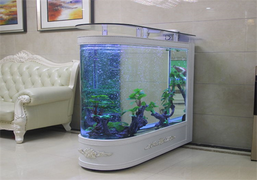 杨子水族馆