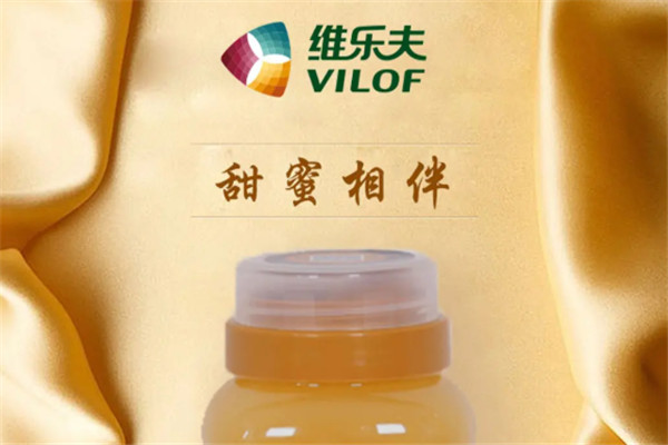 维乐夫菊苣加盟