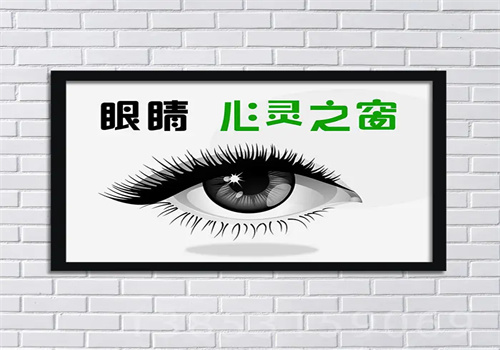 亮眸未来视力修复