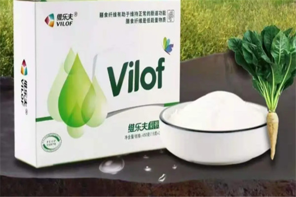 维乐夫菊苣加盟