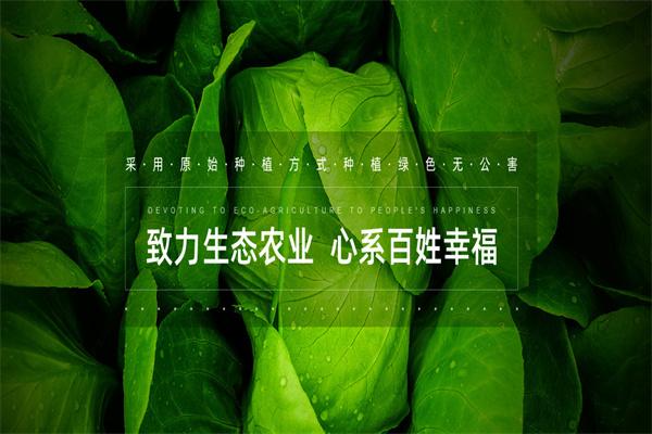 桑黄种植
