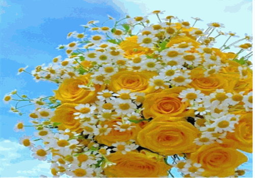 唯爱鲜花