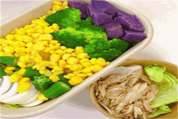 无食谱沙拉加盟