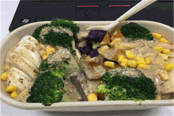 无食谱沙拉加盟