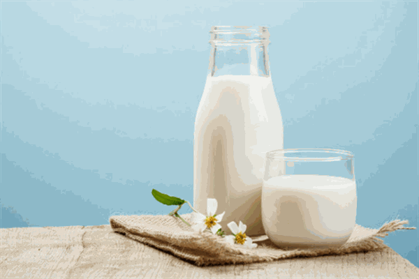 乍甸乳业鲜奶吧加盟