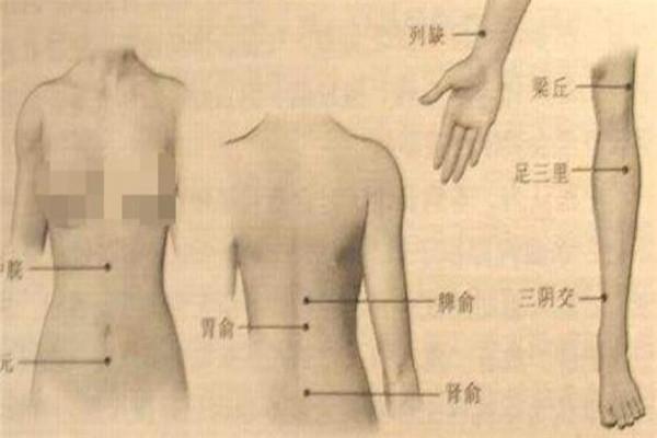 龙骨罐减肥