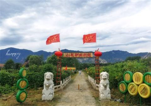 小毛驴市民农园