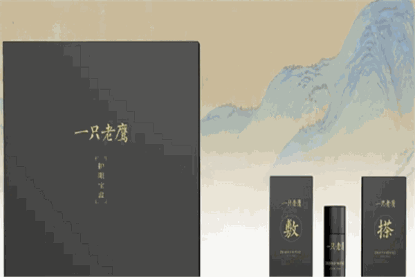一只老鹰近视加盟