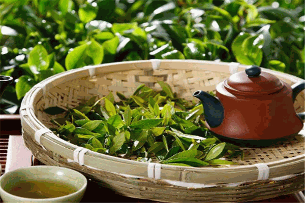 御牌茶叶加盟