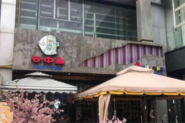 云中鱼蒸汽石锅鱼火锅