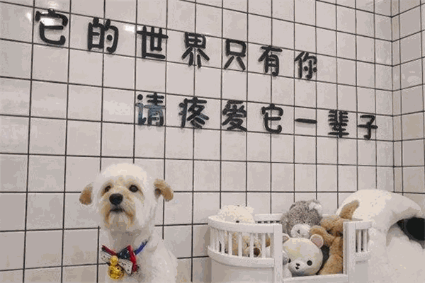 樱姬宠物生活馆加盟