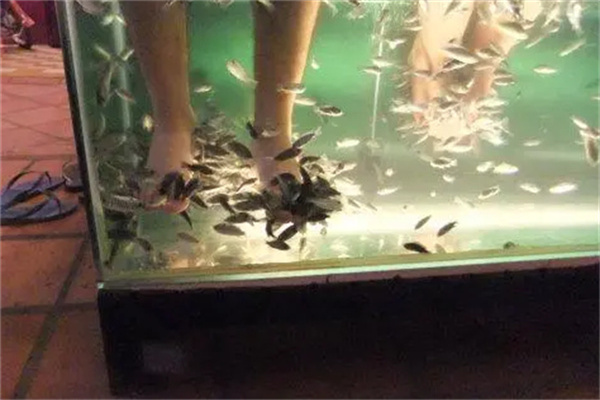 小鱼洗脚