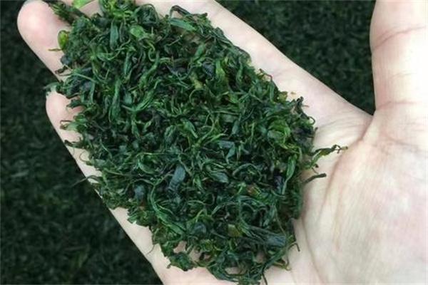 小叶苦丁茶加盟