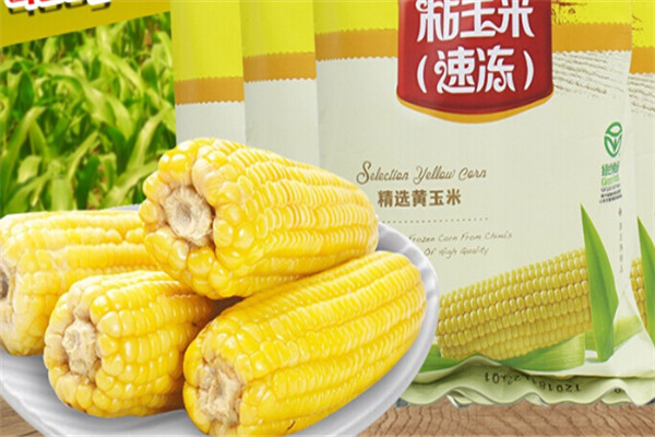 天景玉米加盟