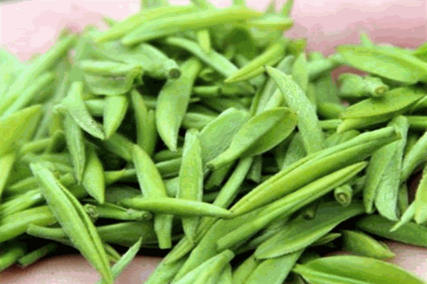 熹铭茶叶加盟