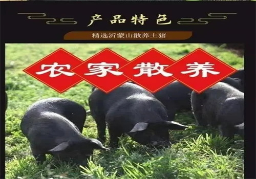 沂蒙山黑猪肉