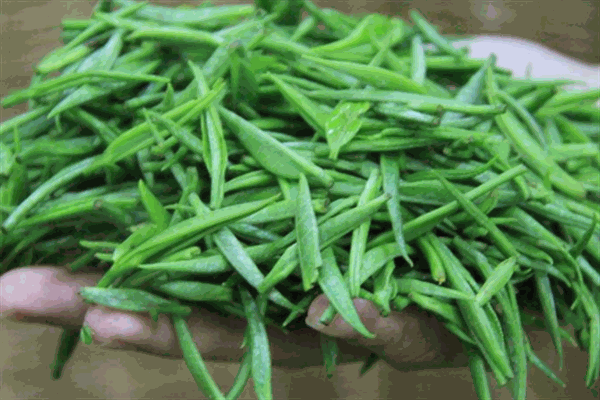 熹铭茶叶加盟