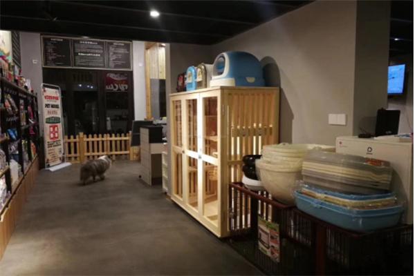 小宠宠物店