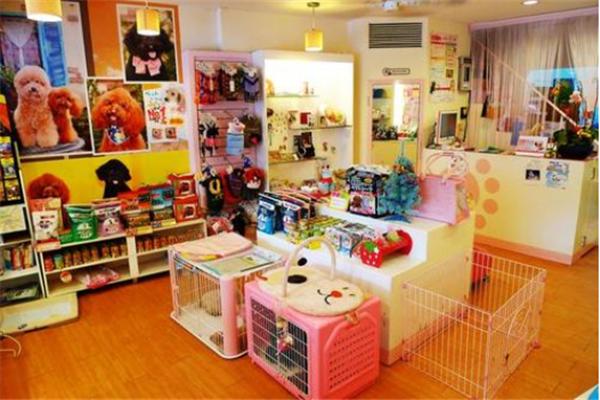 小宠宠物店