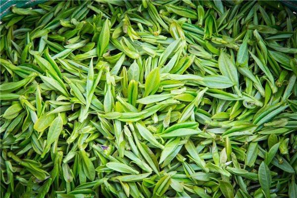 奇苑茶叶加盟