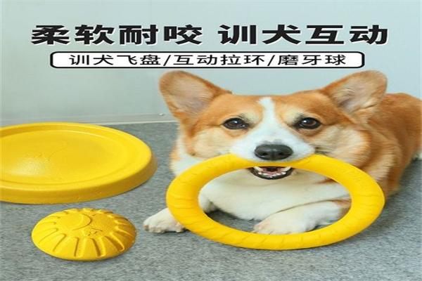 顽皮宠物用品