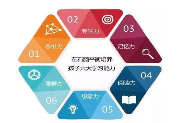 优的堡全脑开发