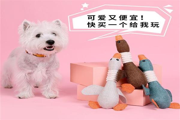 顽皮宠物用品