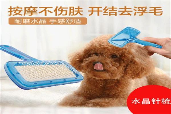 顽皮宠物用品